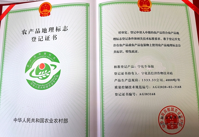 宁化牛角椒荣获农产品地理标志登记证书